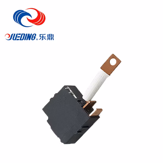 High Reliablity Customized Spdt Multifunction Timer Relay Latching Relay 12V