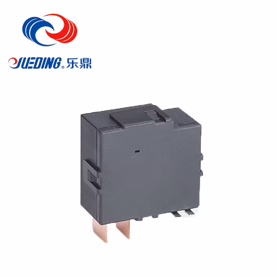 High Reliablity Customized Spdt Multifunction Timer Relay Latching Relay 12V